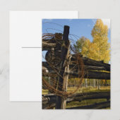 Barbed Wire Briefkaart (Voorkant / Achterkant)