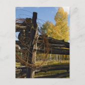 Barbed Wire Briefkaart (Voorkant)