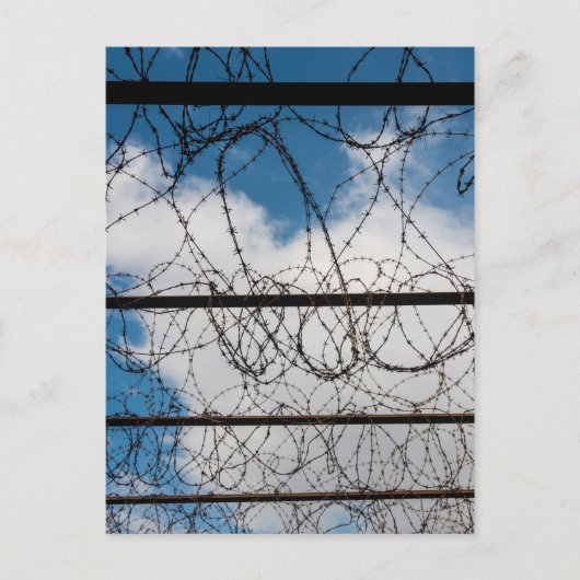Barbed Wire Fence Briefkaart (Voorkant)