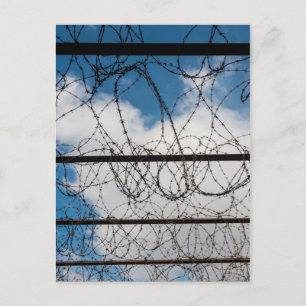 Barbed Wire Fence Briefkaart