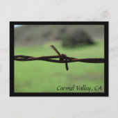 Barbed Wire Fence Carmel Valley, CA Briefkaart (Voorkant)