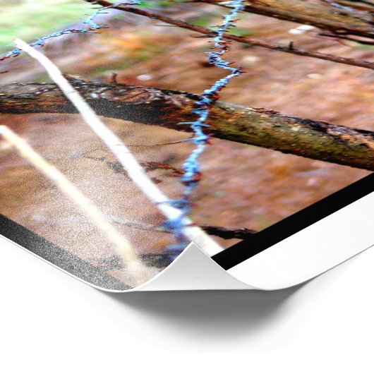 Barbed Wire Fence Foto Afdruk (Hoek)