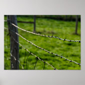 Barbed Wire Fence Poster (Voorkant)