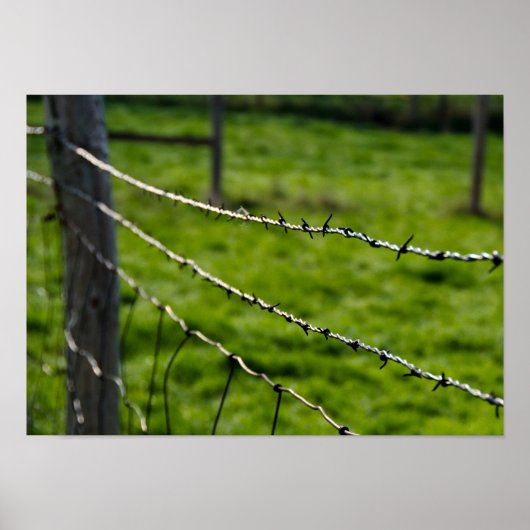 Barbed Wire Fence Poster (Voorkant)