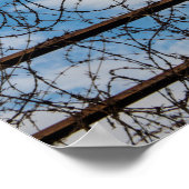Barbed Wire Fence Poster (Hoek)