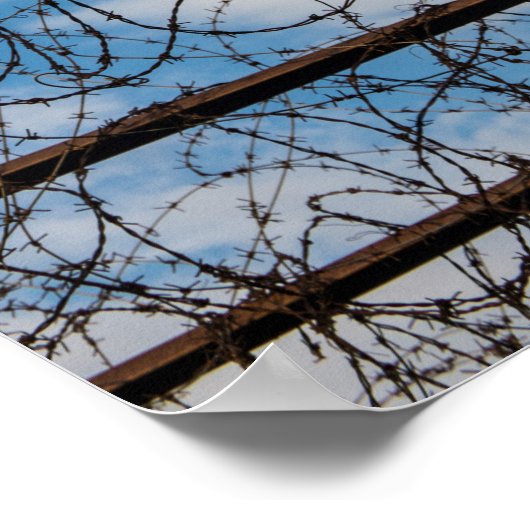 Barbed Wire Fence Poster (Hoek)