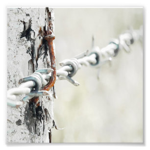 Barbed Wire Hang op met een Rusty Nail Foto Afdruk