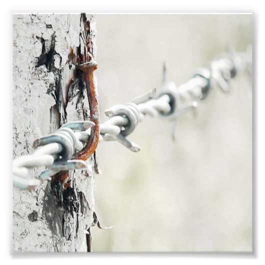 Barbed Wire Hang op met een Rusty Nail Foto Afdruk (Voorkant)