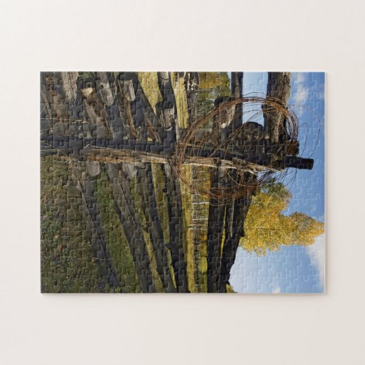 Barbed Wire Legpuzzel (Horizontaal)