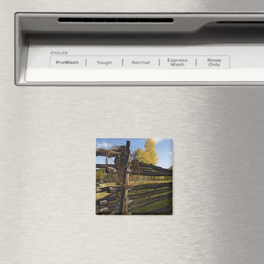 Barbed Wire Magneet (Insitu (Vaatwasser))