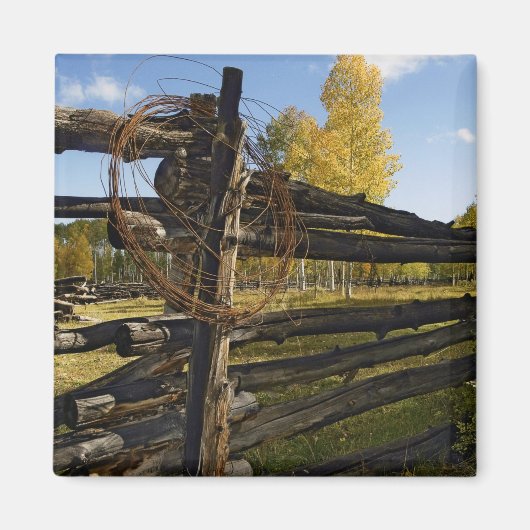 Barbed Wire Magneet (Voorkant)