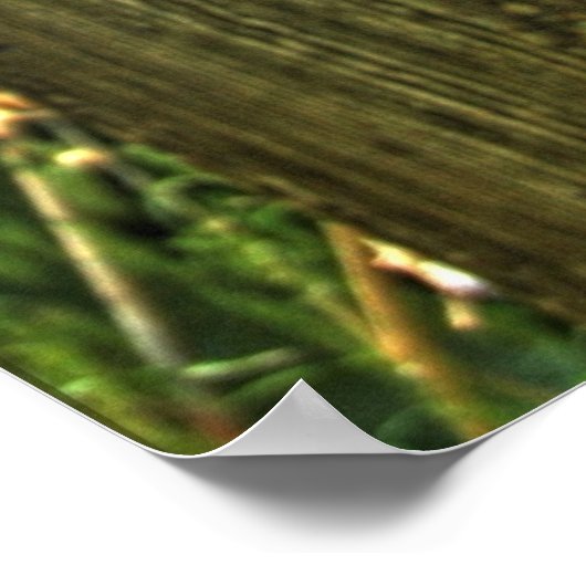 Barbed Wire Poster (Hoek)