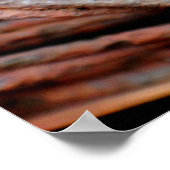 Barbed Wire Poster (Hoek)