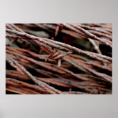 Barbed Wire Poster (Voorkant)