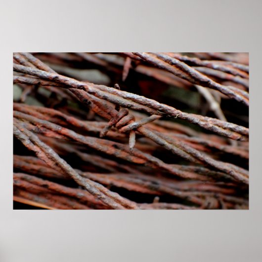 Barbed Wire Poster (Voorkant)
