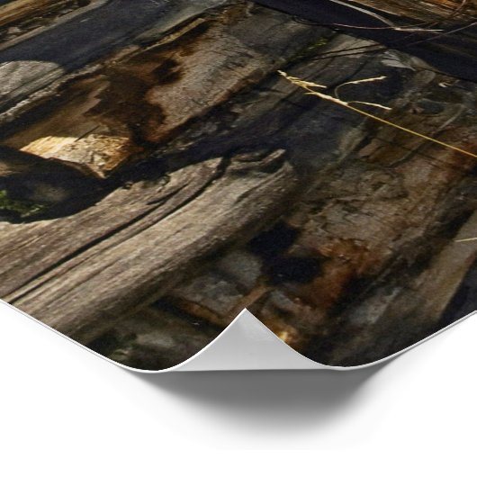 Barbed Wire Poster (Hoek)