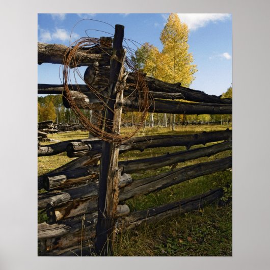 Barbed Wire Poster (Voorkant)