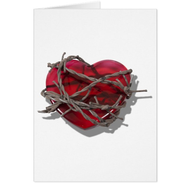 BarbedWireHeart081510 (Voorkant)