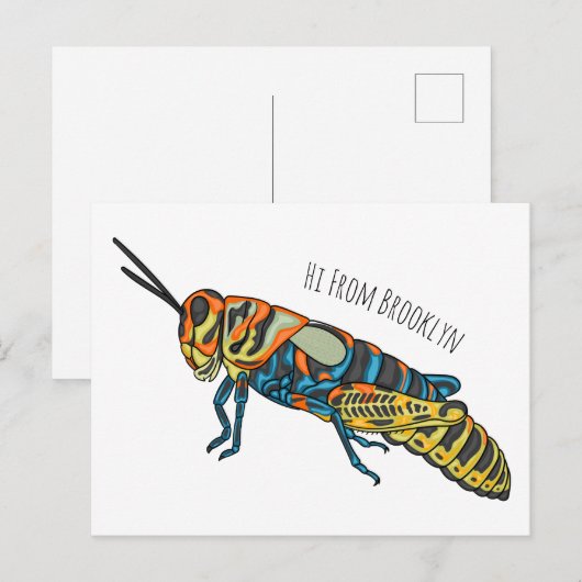 Barberpoolsprinkhaan, afbeelding cartoon briefkaart (Voorkant / Achterkant)