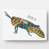 Barberpoolsprinkhaan, afbeelding cartoon fotoplaat (voorkant)