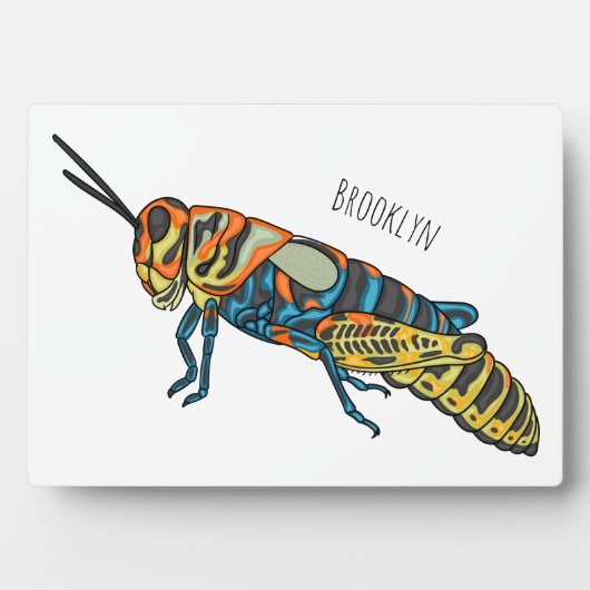 Barberpoolsprinkhaan, afbeelding cartoon fotoplaat (voorkant)