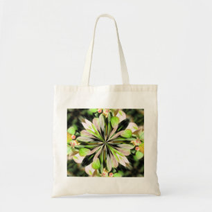 Barberry Tas