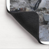 Barbershop-kwartet Muismat (Hoek)