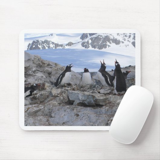 Barbershop-kwartet Muismat (Met muis)