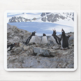 Barbershop-kwartet Muismat