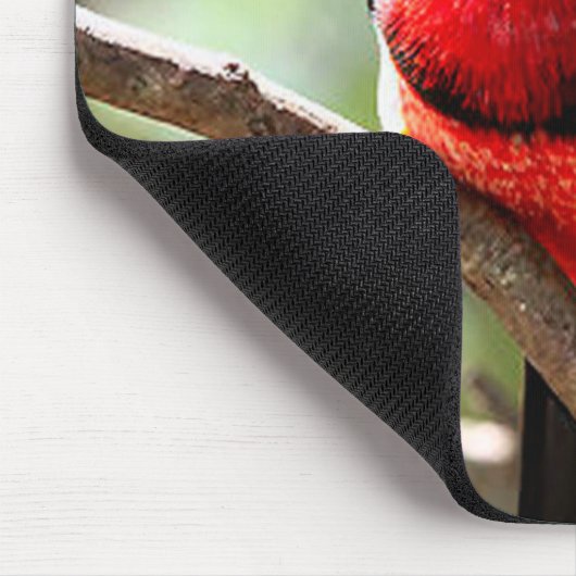 Barbet Bird Mousepad Muismat (Hoek)