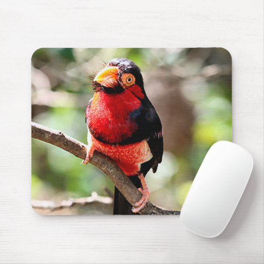 Barbet Bird Mousepad Muismat (Met muis)