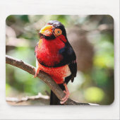 Barbet Bird Mousepad Muismat (Voorkant)