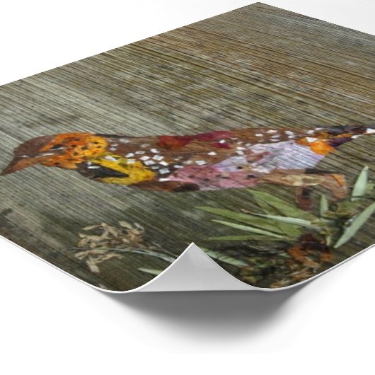 Barbet Bird Poster (Hoek)