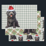 Barbet Christmas Dog Green Plaid Inpakpapier Vel<br><div class="desc">Een schattige Barbethond is klaar voor het vakantieseizoen met vakantie pet. Deze schattige kersthond is gekoppeld aan een groene en witte vakantieplaid op deze set cadeauverpakking voor het hondenliefhebber.</div>