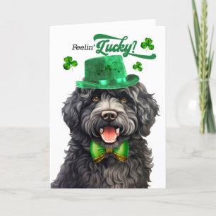 Barbet Dog Feelin' Lucky St Patrick's Day Feestdagen Kaart