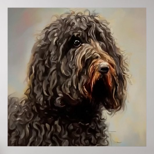 Barbet - Dog Portrait Poster (Voorkant)