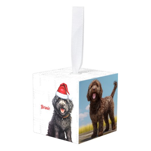 Barbet Dog Twee foto kerstvakantie Decoratie (Voorkant hoekig)