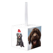 Barbet Dog Twee foto kerstvakantie Decoratie (Achter hoekig)