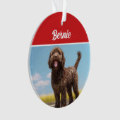 Barbet Dog Vakantie Kerstfoto Ornament (voorkant)