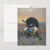 Barbet, Franse waterhond Briefkaart (Voorkant / Achterkant)