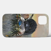 Barbet, Franse waterhond Case-Mate iPhone Case (Achterkant (horizontaal))