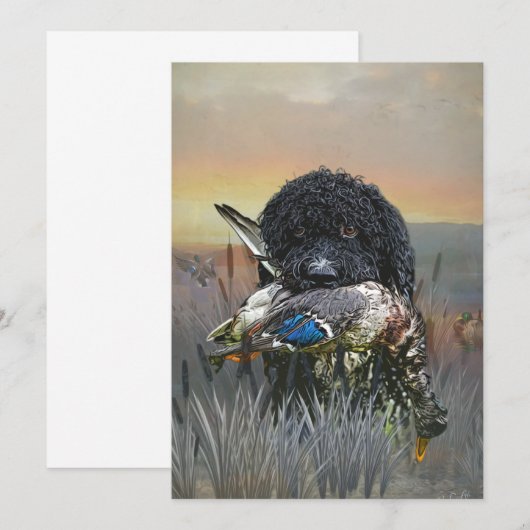 Barbet, Franse waterhond Kaart (Voorkant / Achterkant)