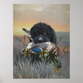 Barbet, Franse waterhond Poster (Voorkant)