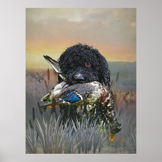 Barbet, Franse waterhond Poster (Voorkant)