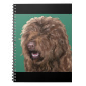 Barbet Notitieboek (Voorkant)