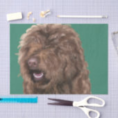 Barbet  tissuepapier (Craft)