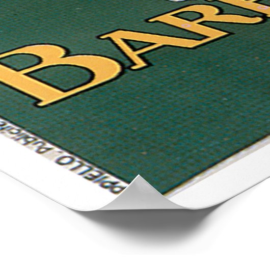 Barbier Dauphin beschermt  voedselkunst Poster (Hoek)