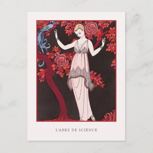 Barbier Tree of Science Franse Mode Briefkaart (Voorkant)