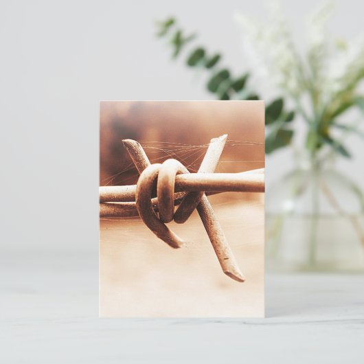 Barbwire en Spider Web in Sepia Briefkaart (Staand voorkant)