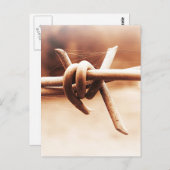 Barbwire en Spider Web in Sepia Briefkaart (Voorkant / Achterkant)